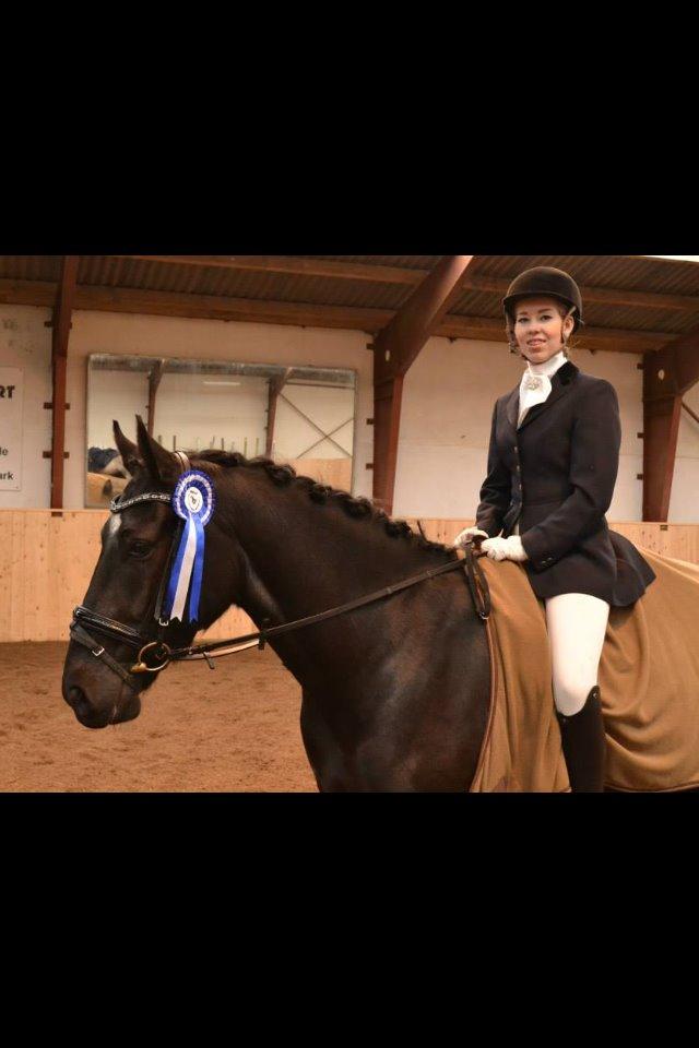 Anden særlig race Zeus - Vores første stævne d. 22 februar, en 2. plads med 65% og en 4. plads med 68%   billede 7