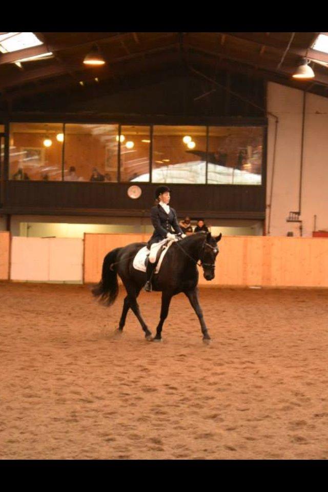 Anden særlig race Zeus - Vores første stævne d. 22 februar, en 2. plads med 65% og en 4. plads med 68% Dygtige lille bamse!! <3 billede 8