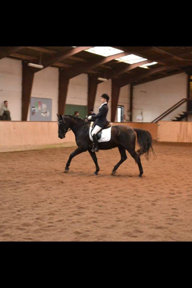 Anden særlig race Zeus - Vores første stævne d. 22 februar, en 2.plads med 65% og en 4 plads med 68% dygtige dreng!! <3 billede 9