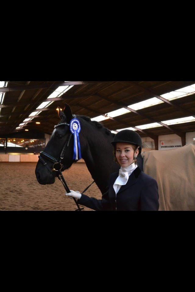 Anden særlig race Zeus - Vores første stævne d. 22 februar, en 2. plads med 65% og en 4 plads med 68% Dejlige lille hest!! <3 billede 11