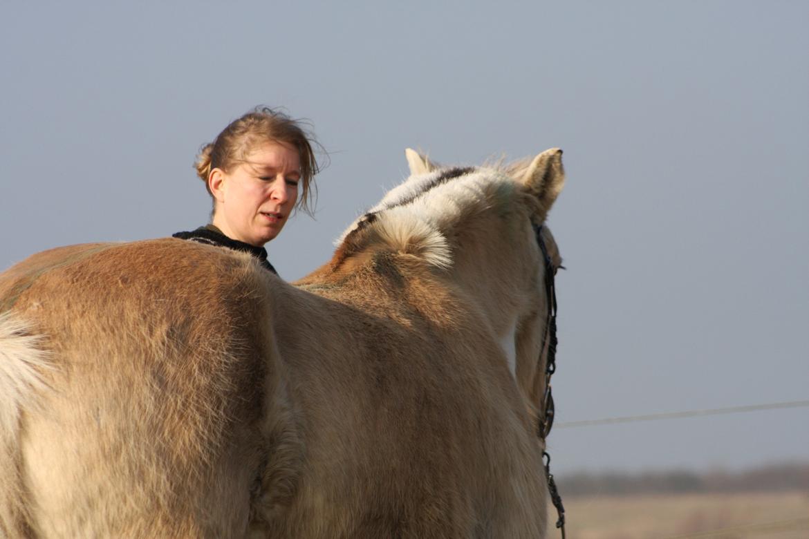 Anden særlig race Laban billede 29