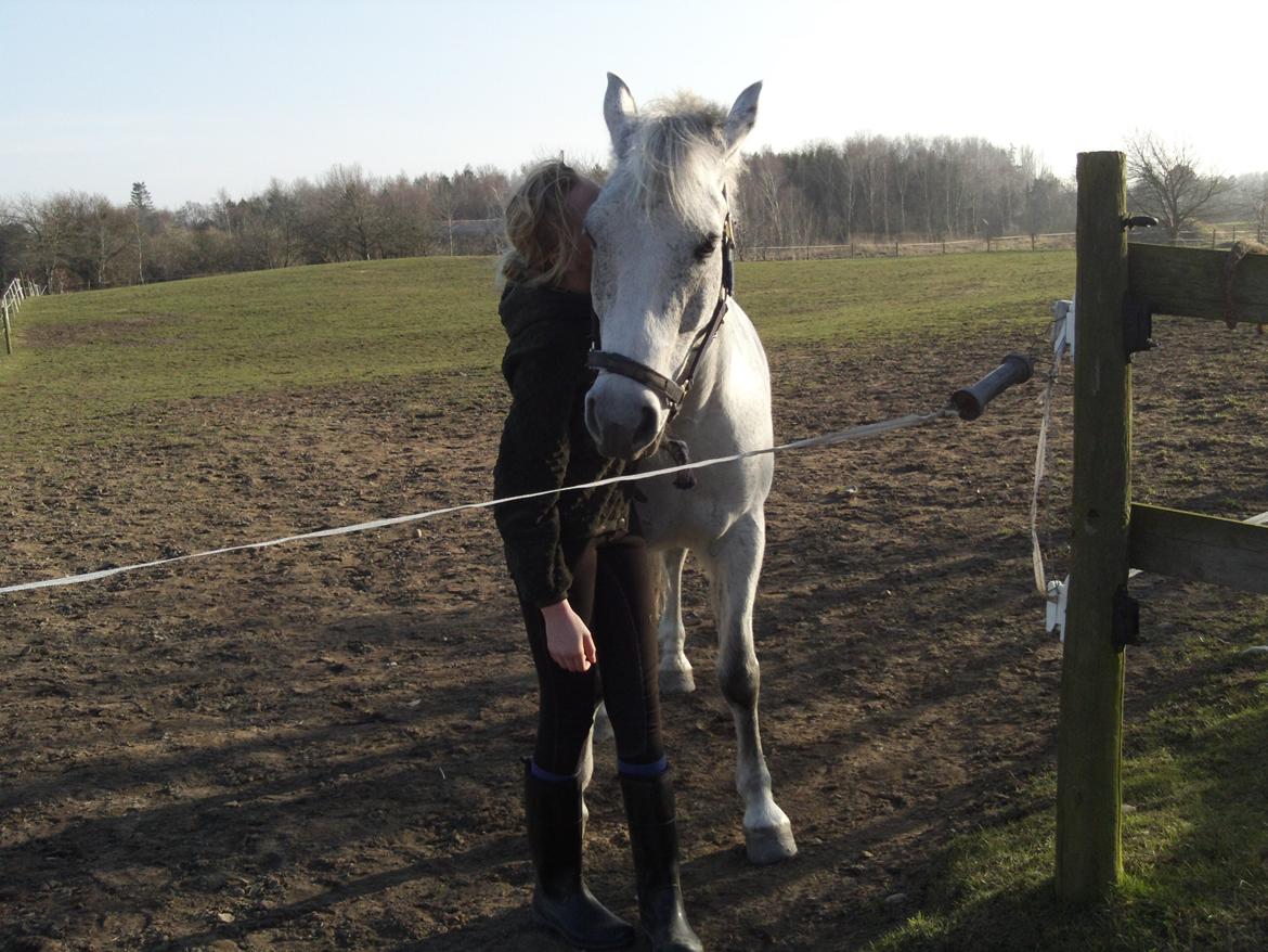 Anden særlig race Houdini<33 [min hest] - my best friend EVER<3  love you my baby :-**** billede 15