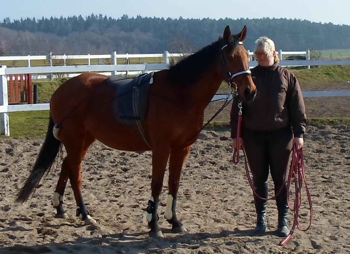 Fuldblod (XX) Lady Dominique<3<3<3<3 Solgt billede 11