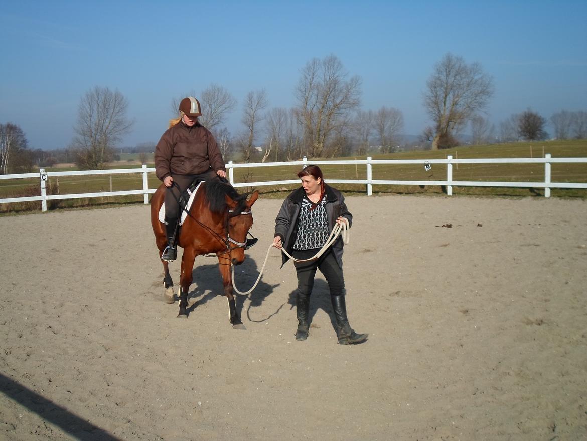 Fuldblod (XX) Lady Dominique<3<3<3<3 Solgt billede 13