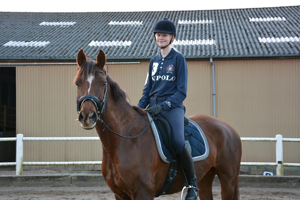 Hannoveraner Felina billede 8