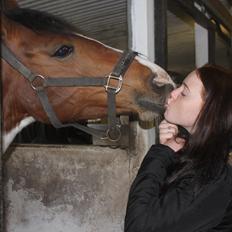 Anden særlig race All Star (Luna)