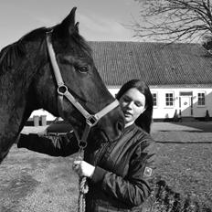 Dansk Varmblod Luci-boy