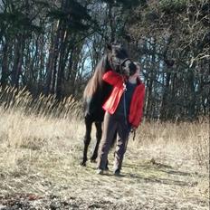 Anden særlig race Afrodite