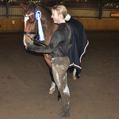 Welsh Cob (sec D) Lindbergs Milton B-PONY