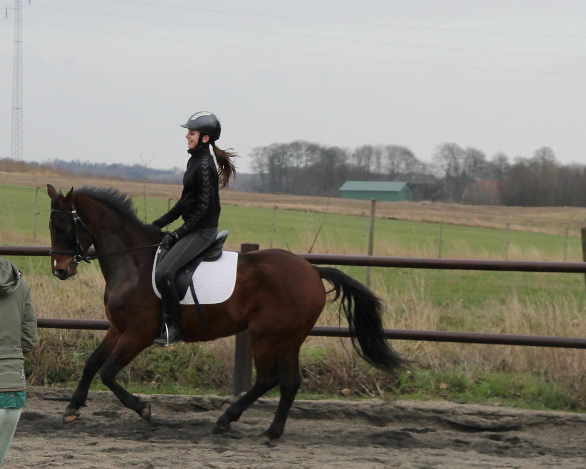 DSP Baskærlunds Werono (Tidl. lånepony) - Anden gang jeg red Werono :) Fotograf: mor billede 11