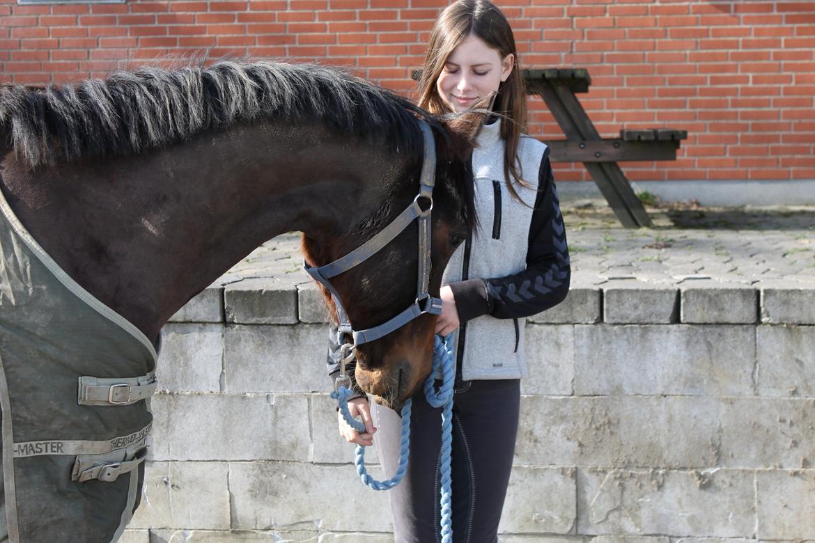 DSP Baskærlunds Werono (Tidl. lånepony) - Werono <3 Fotograf: mor billede 10