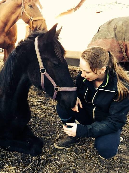 Anden særlig race Farida Arieke  billede 4