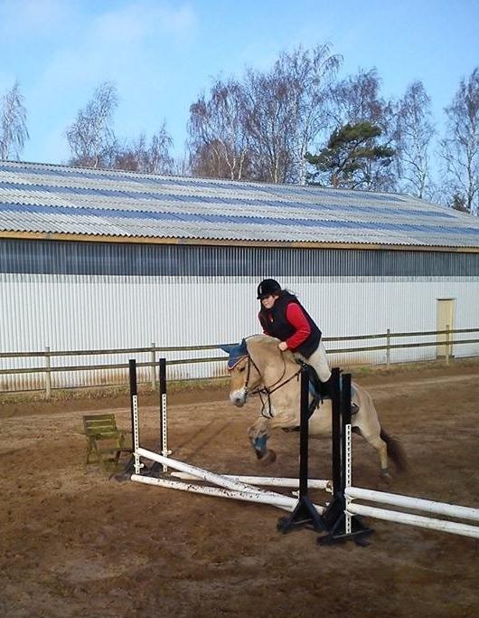 Fjordhest Hjorthøj´s Note billede 36