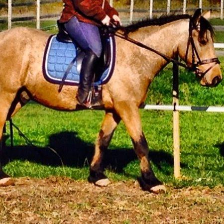 Anden særlig race Harbygaards Eddie Murphy billede 16