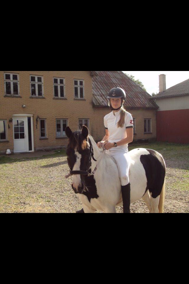 Pinto Molly-Malibu - Molly og jeg efter Felsted ringridning.:) billede 5