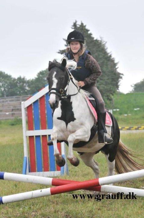 Pinto Molly-Malibu - Molly og jeg der springer for første gang.<3 Ridelejer 2010.  billede 3