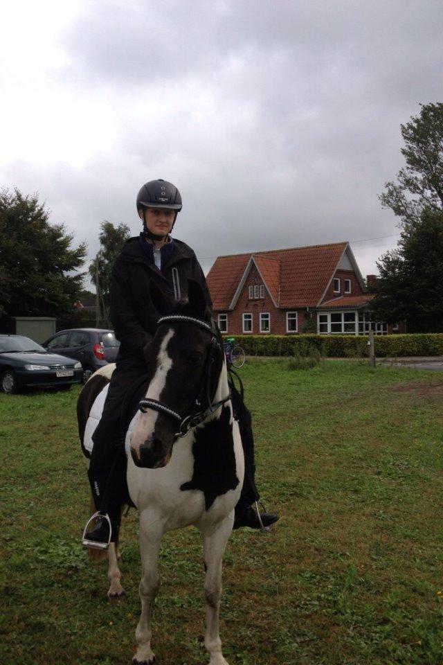 Pinto Molly-Malibu - Mig der ikke er sååå tilfreds med antallet af ringe, til ringridning.. Heldigvis ser Molly brænd godt ud! billede 7