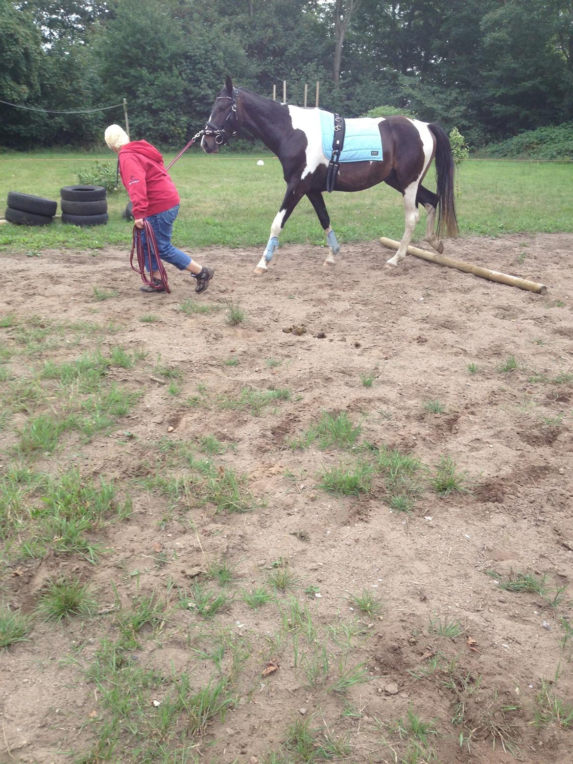 Pinto Karano - Karano er ikke heelt med:P billede 7