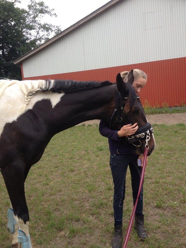 Pinto Karano - Karano og jeg.<3 billede 9