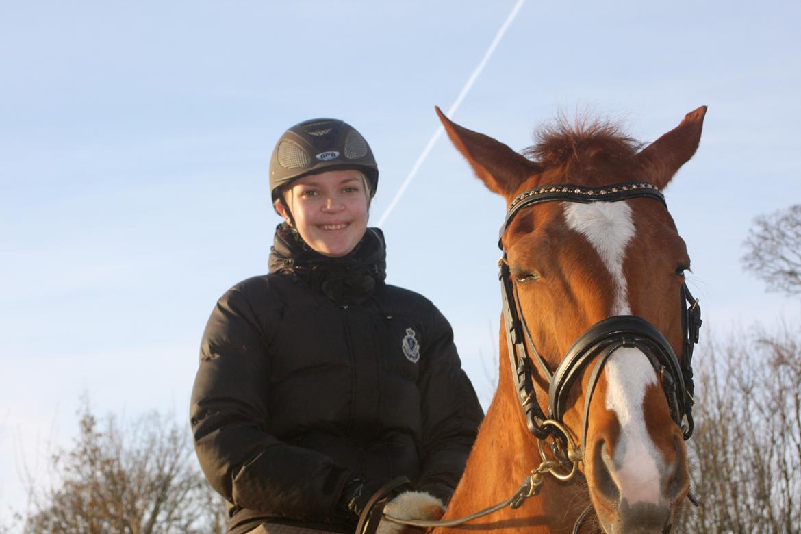 Fuldblod (XX) Macho Dancer (Ire) billede 15