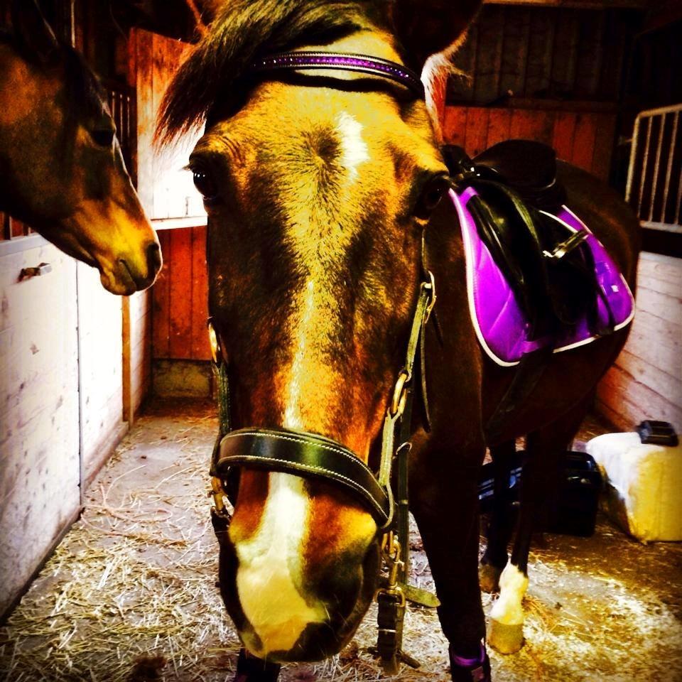 Traver Møffeline - Møffeline med nyt udstyr billede 19