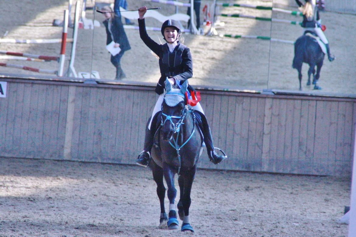 Anden særlig race Agerhøjgårds Avance billede 11