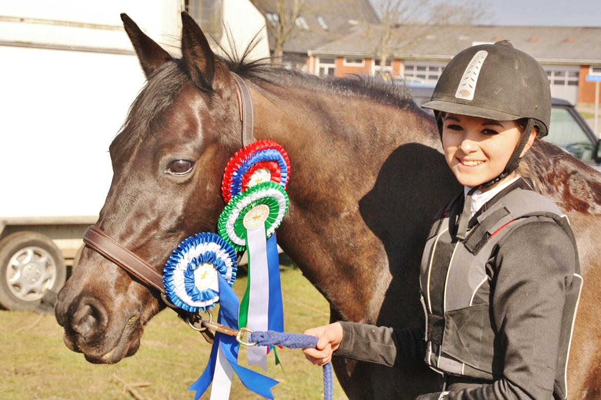 Anden særlig race Agerhøjgårds Avance billede 12