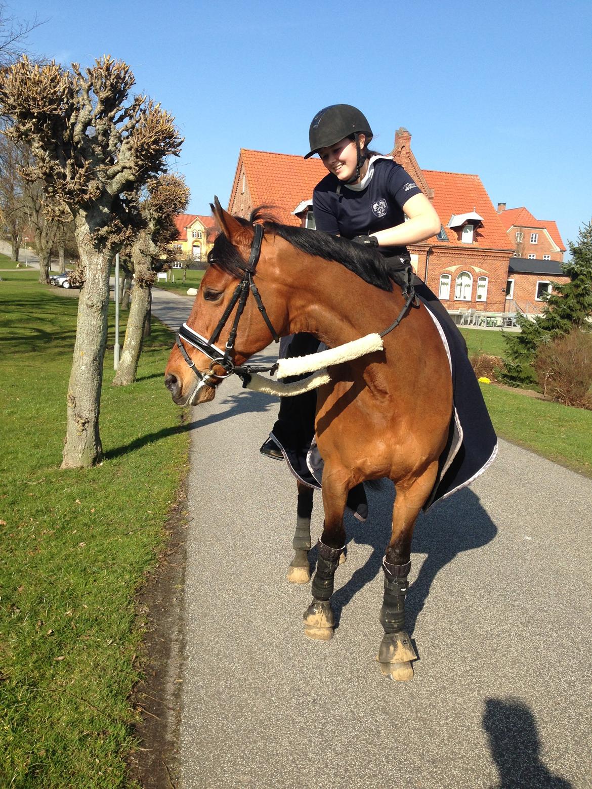 Anden særlig race Archibald billede 7