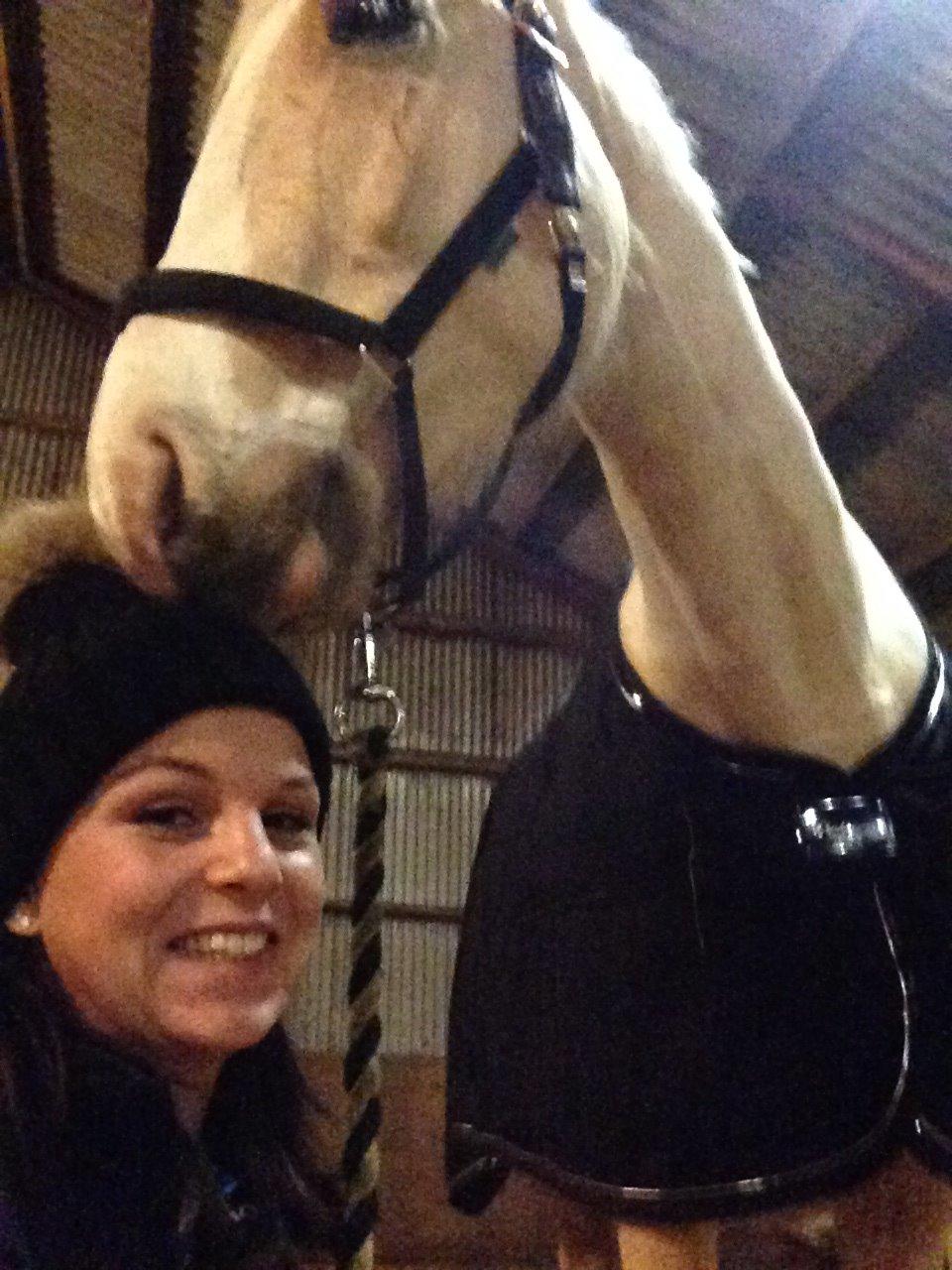 Palomino Kvolsbæks New Nirvana - Den dut på huen dufter altså rigtig godt!!  billede 27