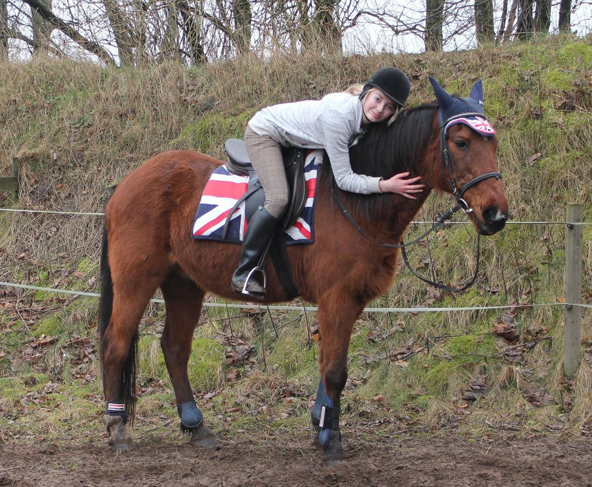 Traver Mark ~ Hypselotte ~ - Første gang jeg red på ham. <3 billede 15