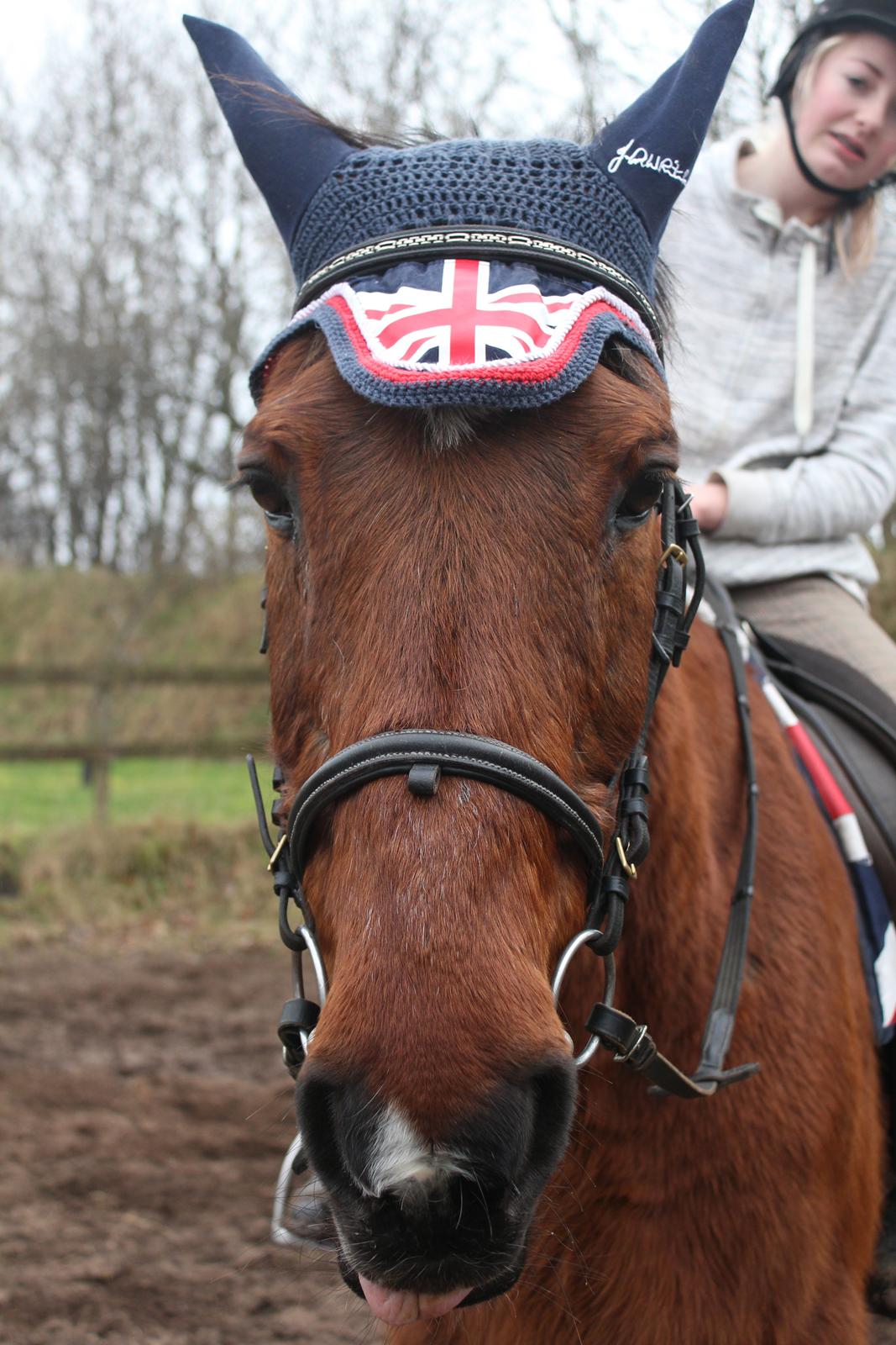 Traver Mark ~ Hypselotte ~ billede 16