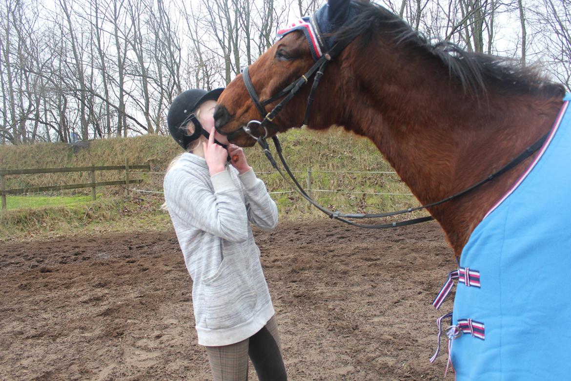 Traver Mark ~ Hypselotte ~ billede 19