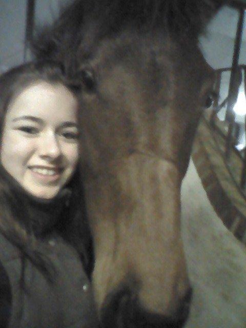 Dansk Varmblod TWINHORS DON'A BALLERINA - 2014's første selfie af prinsessen og jeg <3 billede 45