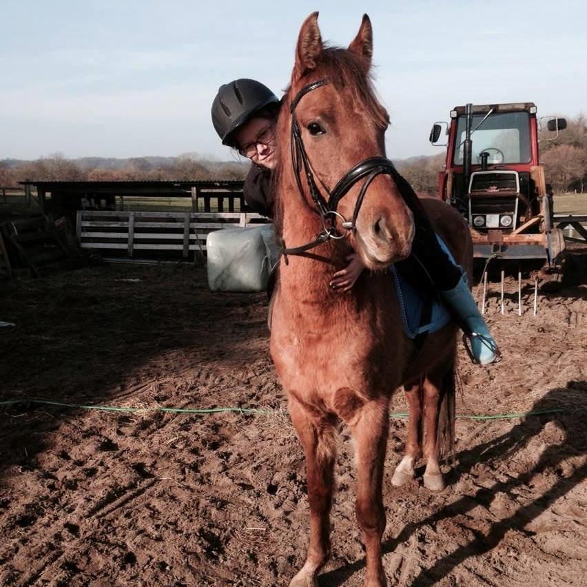 DSP Baily billede 19