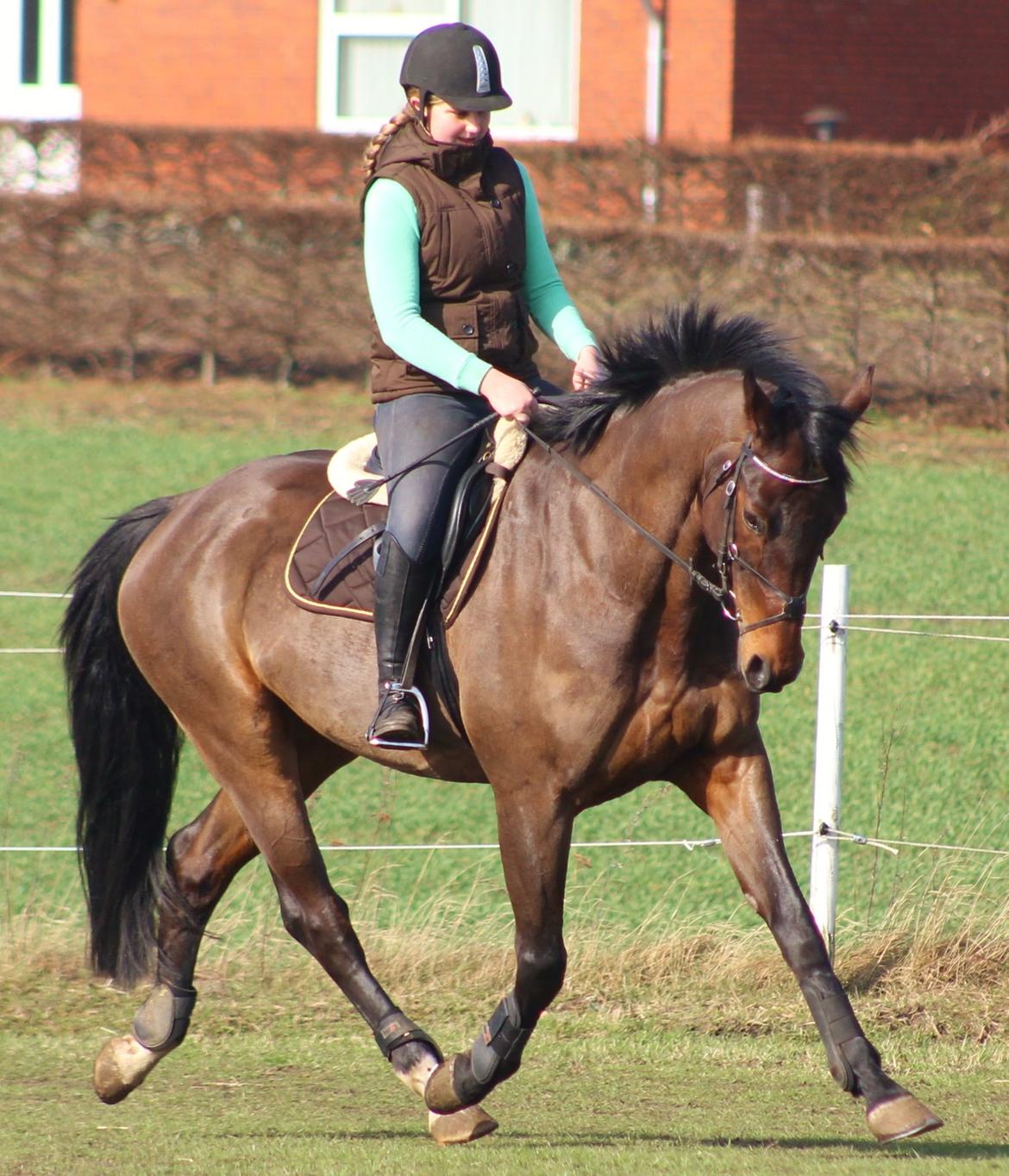 Oldenborg Damgårdens Top-Loader billede 6