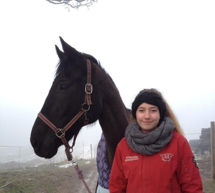 Anden særlig race Willow - Da jeg hentede hende fra fold en af de første gange. Hun kan faktisk godt komme når man kalder på hende. billede 14