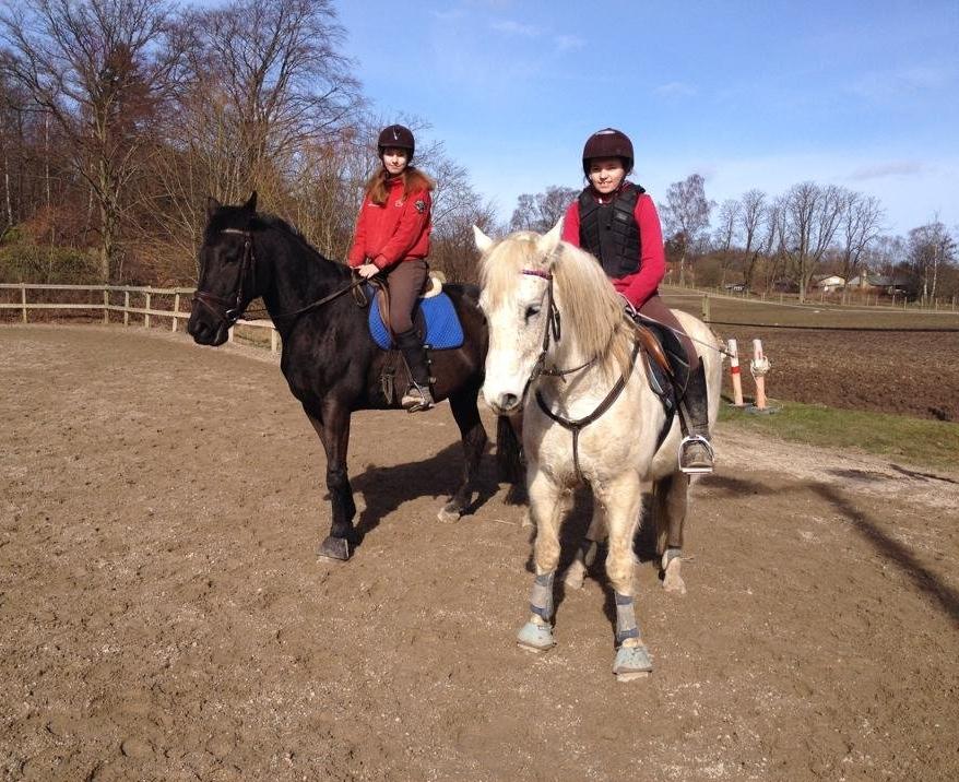 Anden særlig race Willow - Mig på Willow og min lillesøster, Caroline på Viktor. billede 7