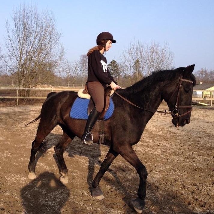 Anden særlig race Willow - "Dressur" på banen. Faktisk genoptræning for mig, da jeg kom til skade med mit knæ. billede 5