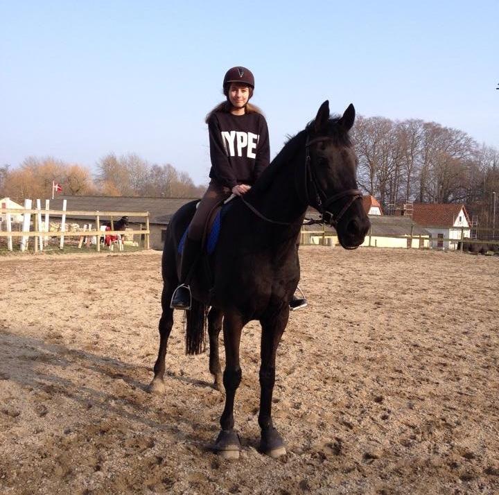 Anden særlig race Willow - Nyder endelig at kunne ride lidt igen og at solen endelig er kommet frem. billede 13