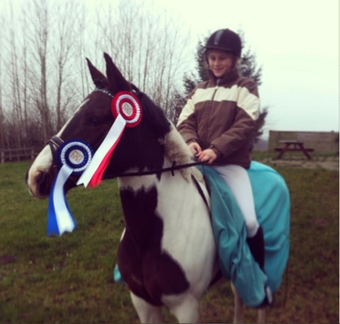 Pinto Sunrise Von Torresco (Justin) <3 - første Dressur stævne billede 12