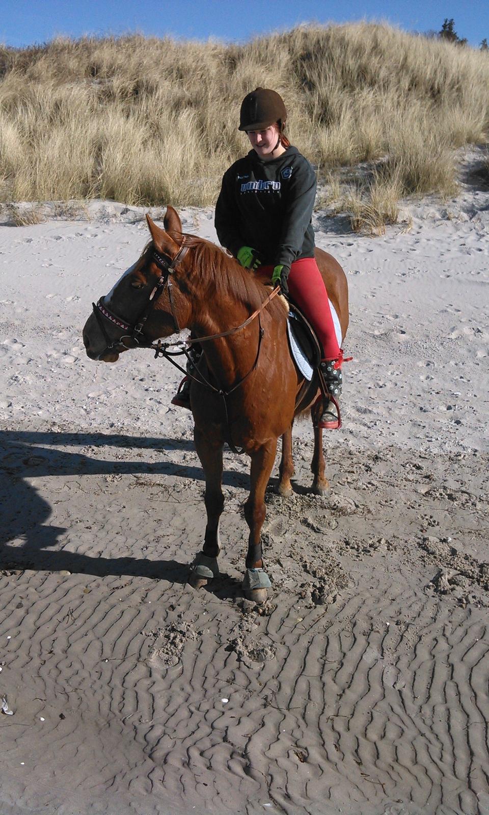 Fuldblod (XX) Avalon billede 17