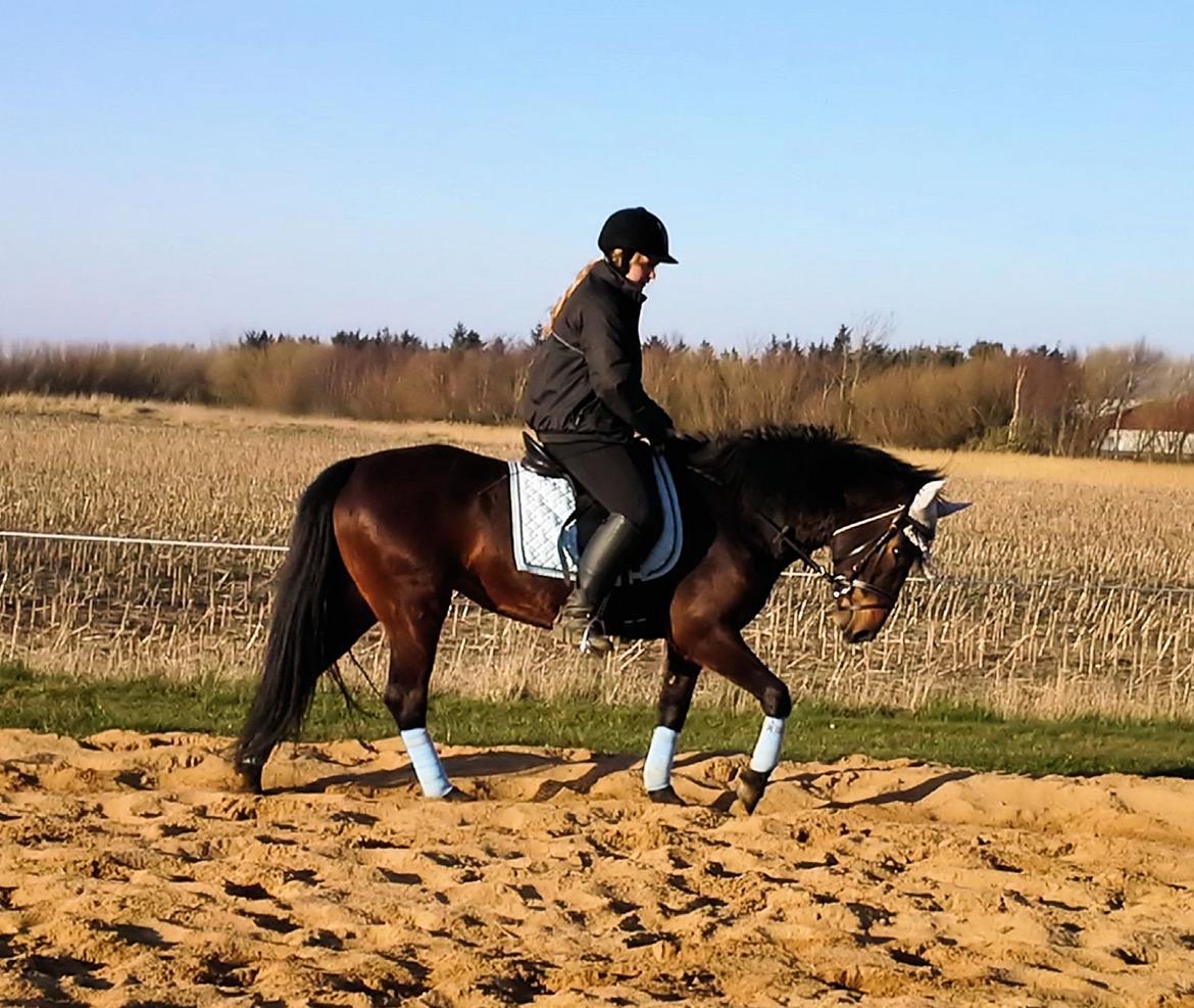 Anden særlig race MUFASJA *FASJA* søsters - Camilla og Fasja for første gang :D 13-03-2014 billede 14