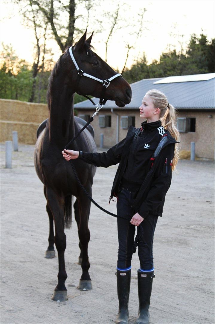 Dansk Varmblod Danglo's Omega - Smukke Omega og jeg<3 
06-05-12 Foto: Mor billede 7