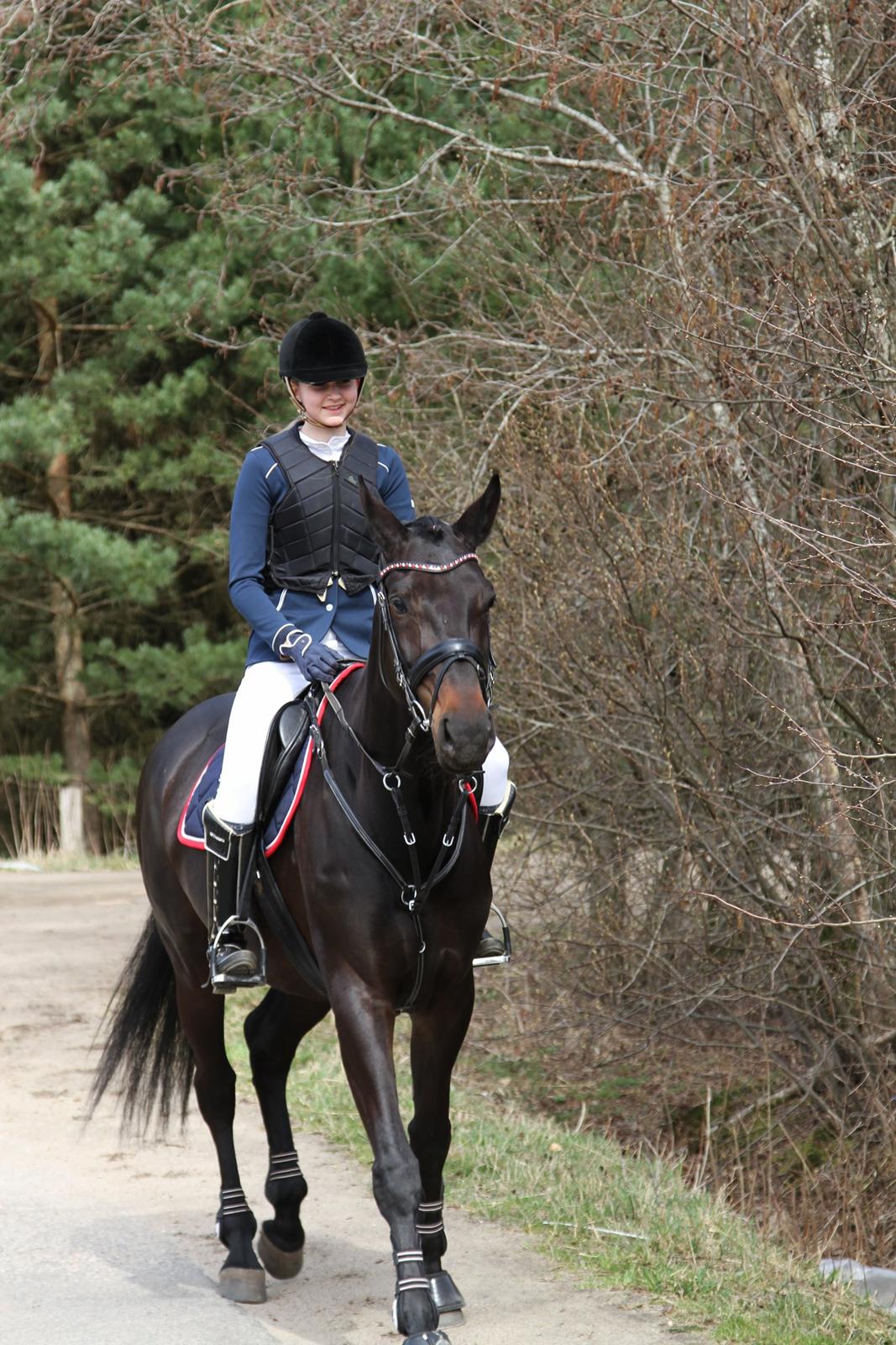 Dansk Varmblod Danglo's Omega - Dejlige hest til stævne<3
 d. 21-04-13 
Foto: Mor billede 17