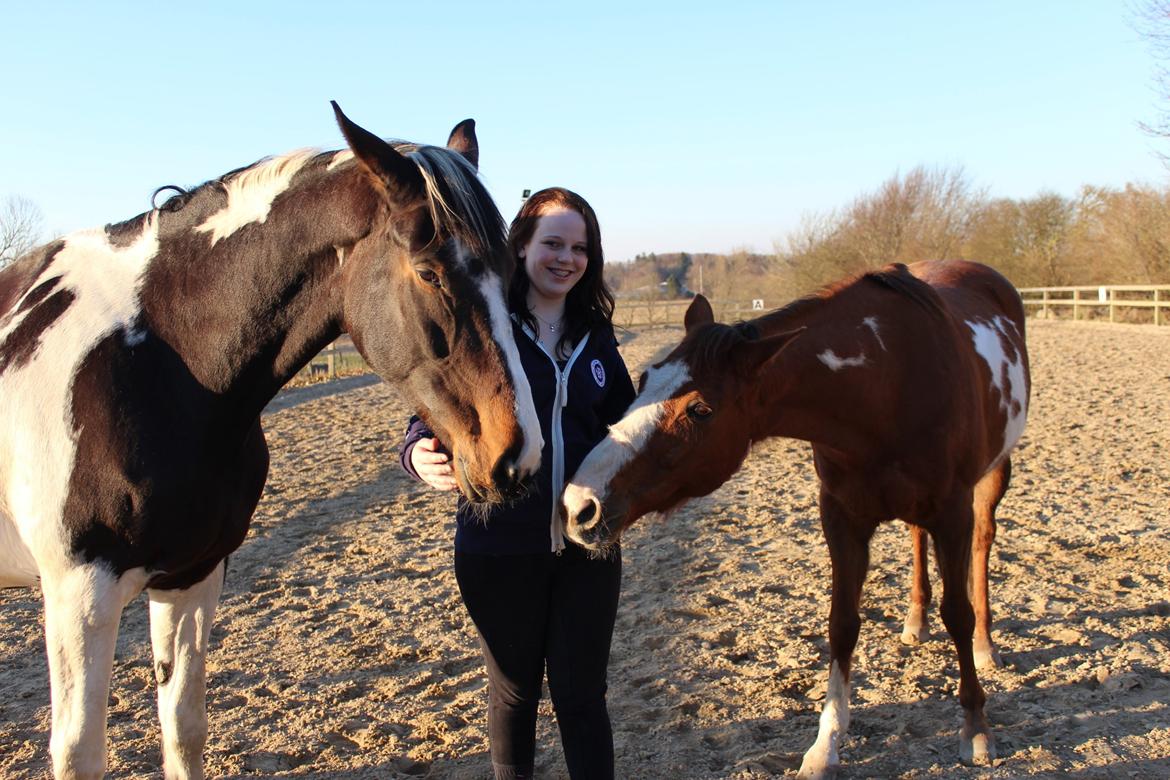 Pinto Enggaardens Jewel billede 7