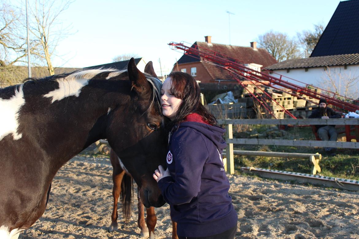 Pinto Enggaardens Jewel billede 11