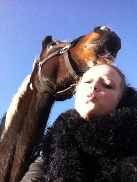 Pinto Enggaardens Jewel billede 18