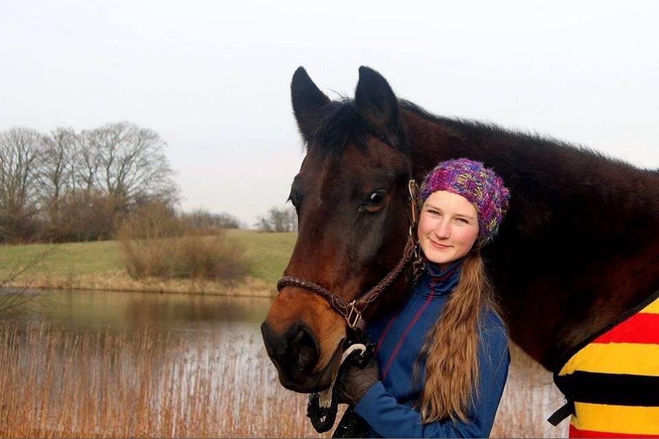 Dansk Varmblod Sabine Esperanza billede 4