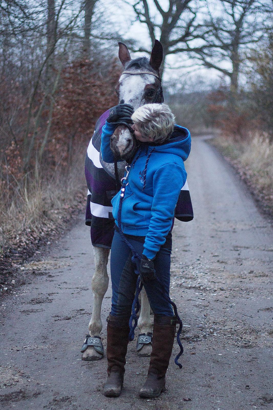 Pinto Isabella Klejs billede 4