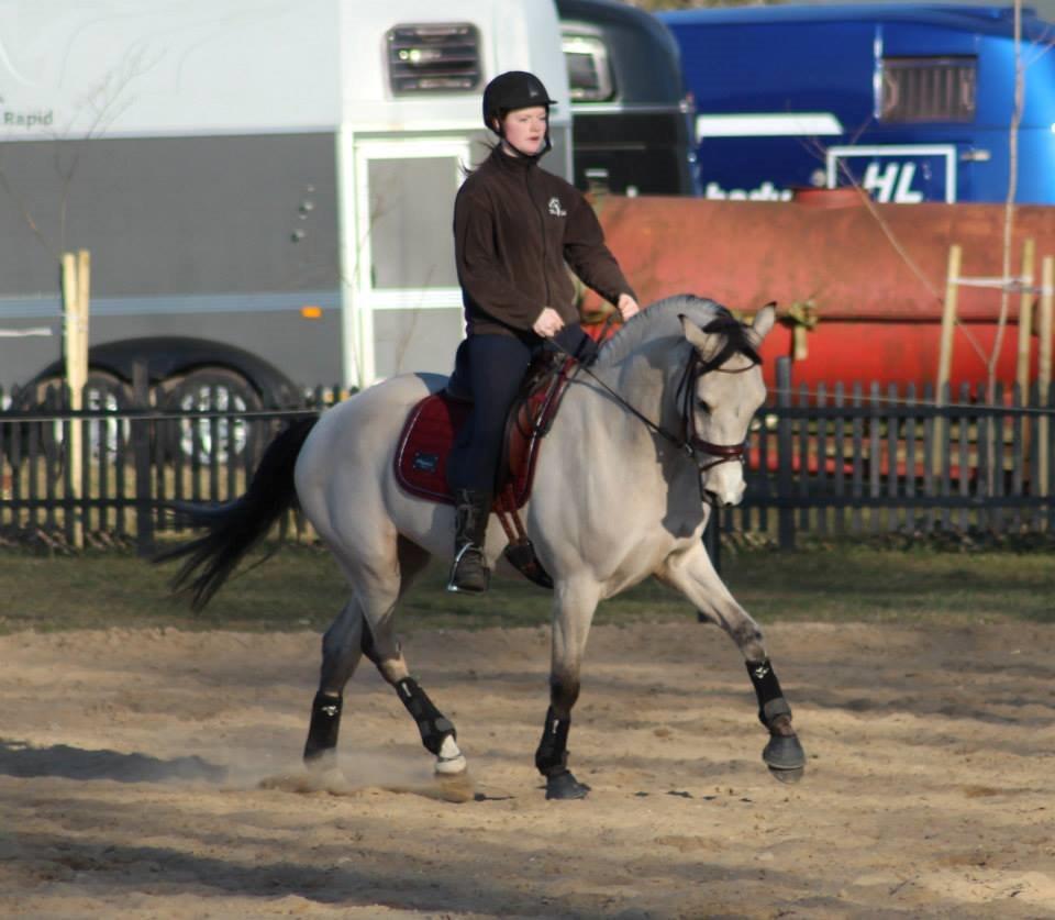 DSP Miss Midina Højgård - 13-03-14 billede 9